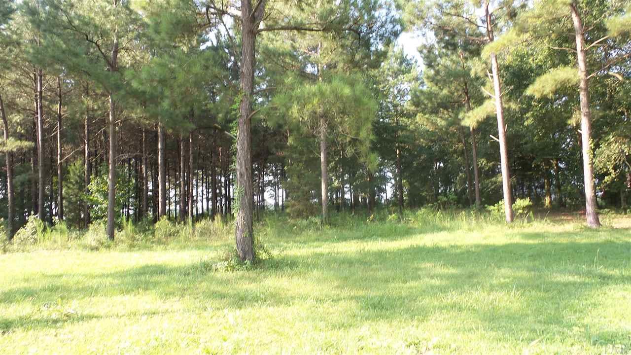 0 Beacon Lane Atmore, AL 36502 - Photo 7 of 9