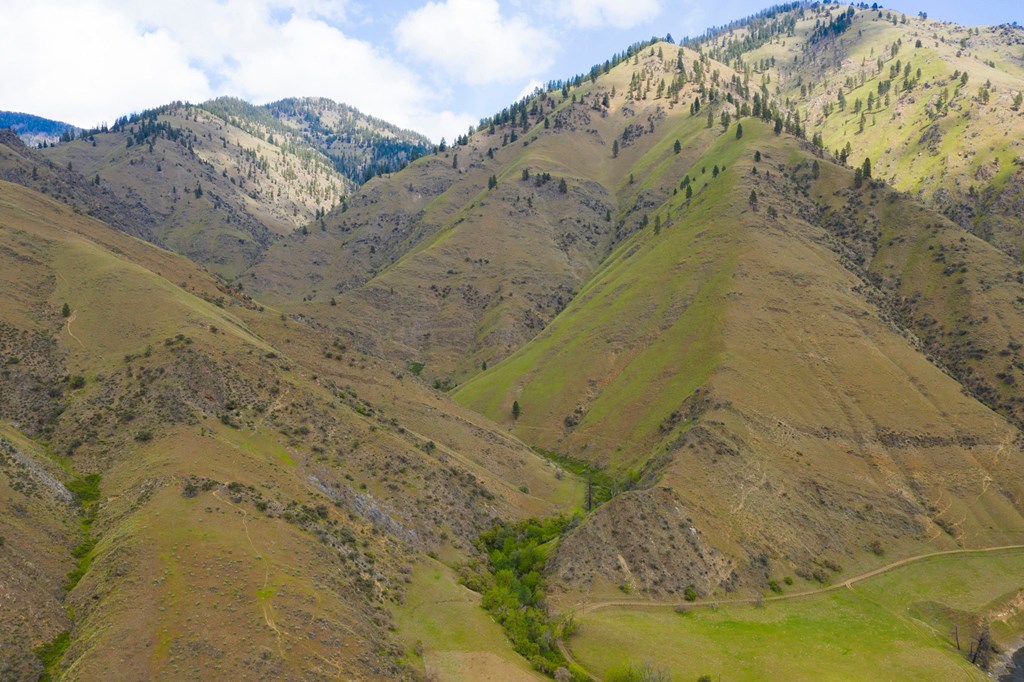 1175 Salmon River Road Riggins, ID 83549 - Photo 8 of 12