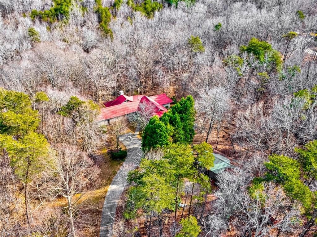 214 Hilton Road Stokesdale, NC 27357 - Photo 45 of 50 Twelve acres of wooded privacy