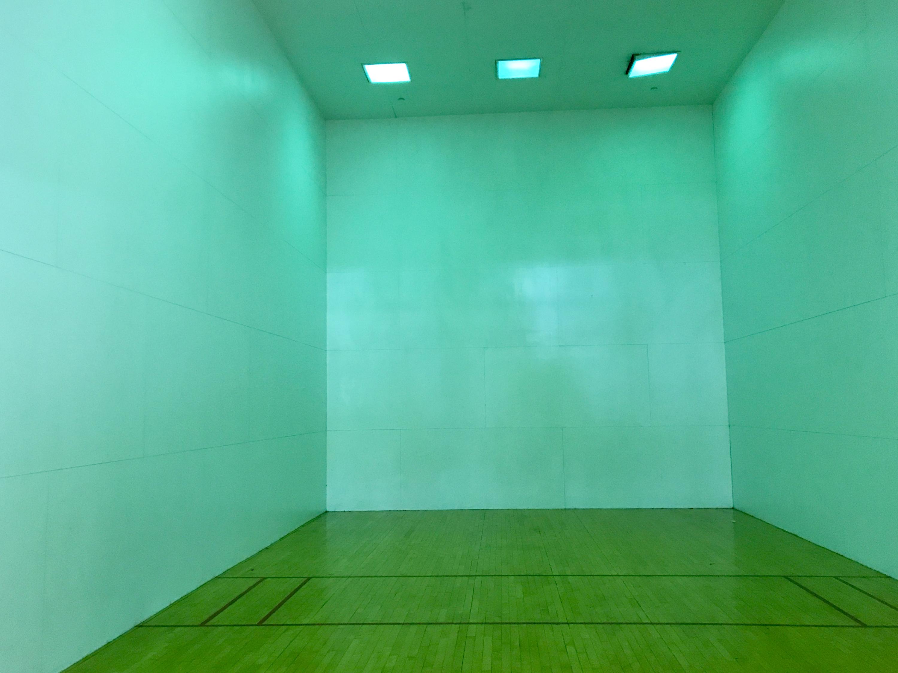 3153 Clint Moore Road, Unit 206 Boca Raton, FL 33496 - Photo 21 of 36 racquetball court