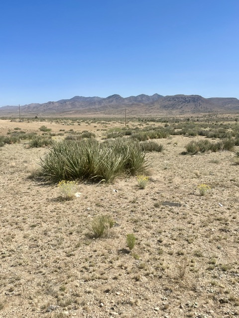 2424 North Doyle Road Kingman, AZ 86401 - Photo 7 of 18 a view of a lake with mountains in the background