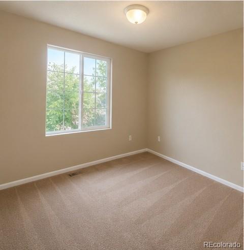 4919 Rusty Nail Point Colorado Springs, CO 80916 - Photo 12 of 12