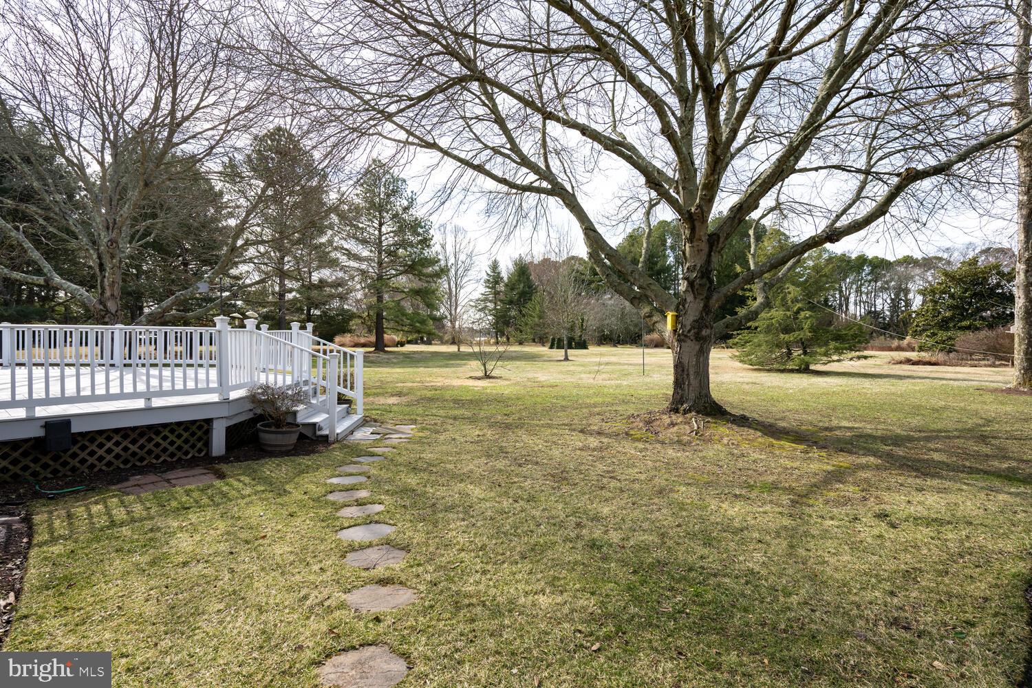 4260 Windrush Road Oxford, MD 21654 - Photo 17 of 39 a view of a yard with wooden fence and trees