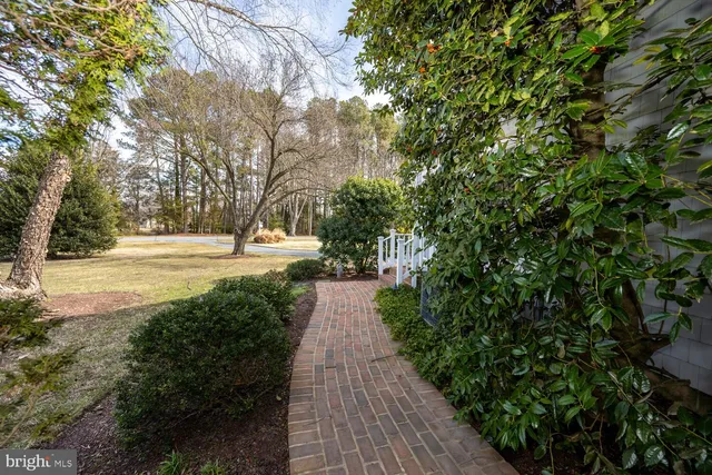 a view of a pathway with a yard