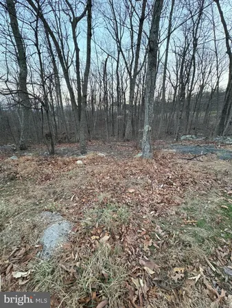 $20,000 | Lot 245 Inca Trail, Winchester, VA 22602