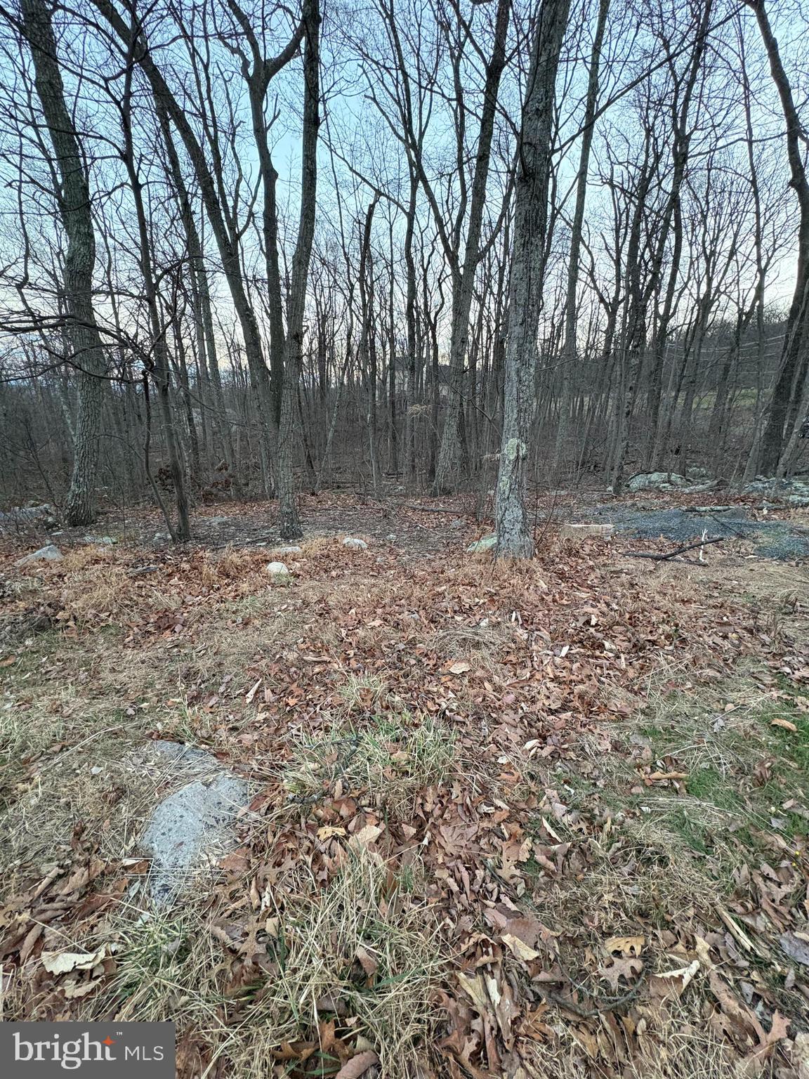 View of Lot