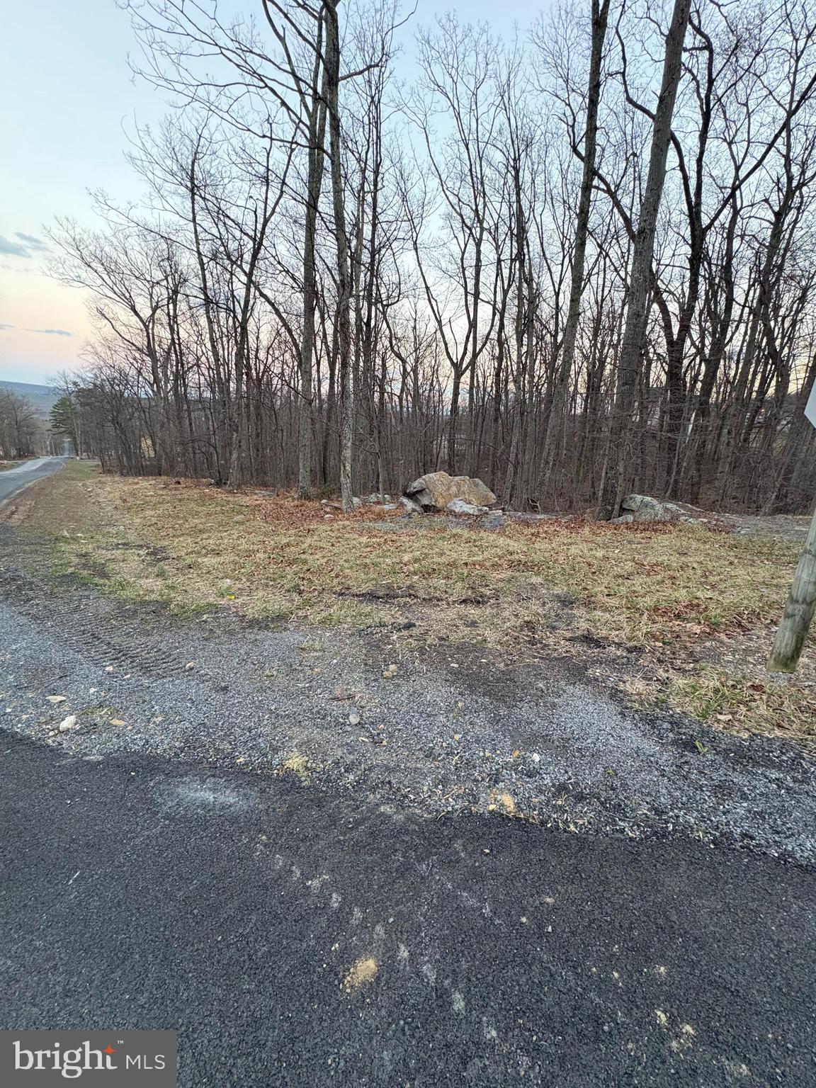 Lot 245 Inca Trail Winchester, VA 22602 - Photo 2 of 11 View of Lot with road