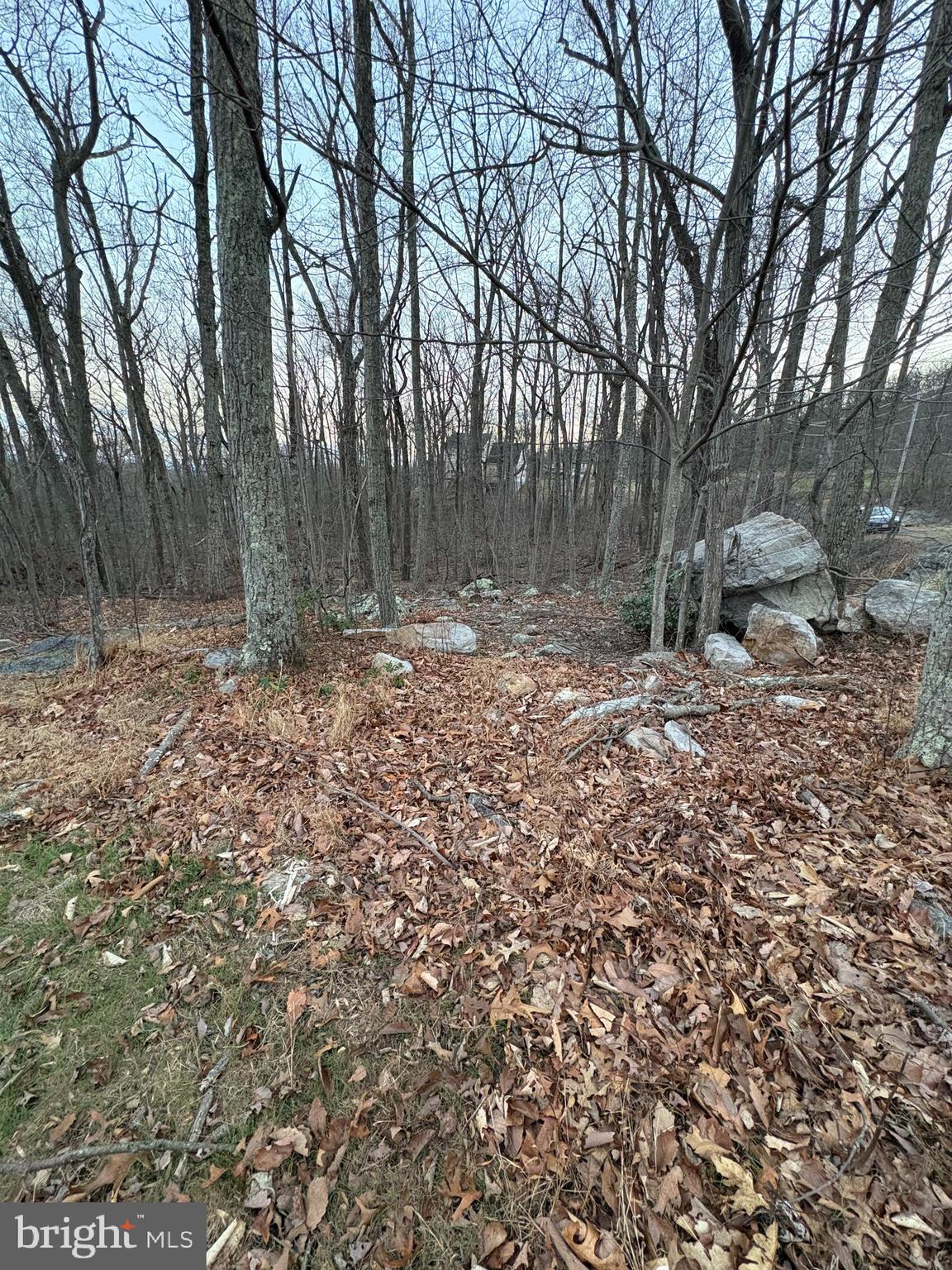 Lot 245 Inca Trail Winchester, VA 22602 - Photo 3 of 11 Corner View of lot