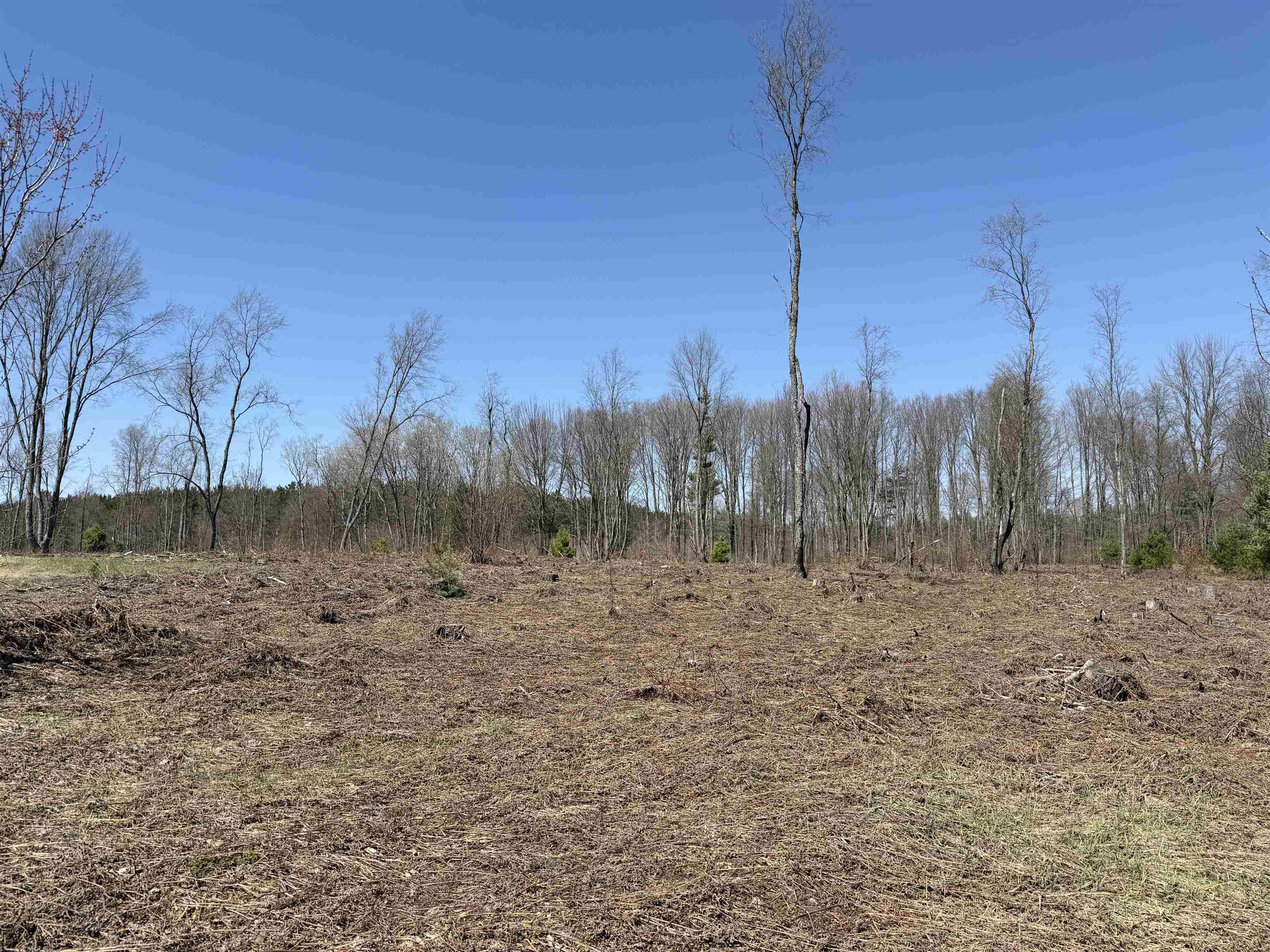 0 Landis Road Thompsonville, MI 49683 - Photo 26 of 26