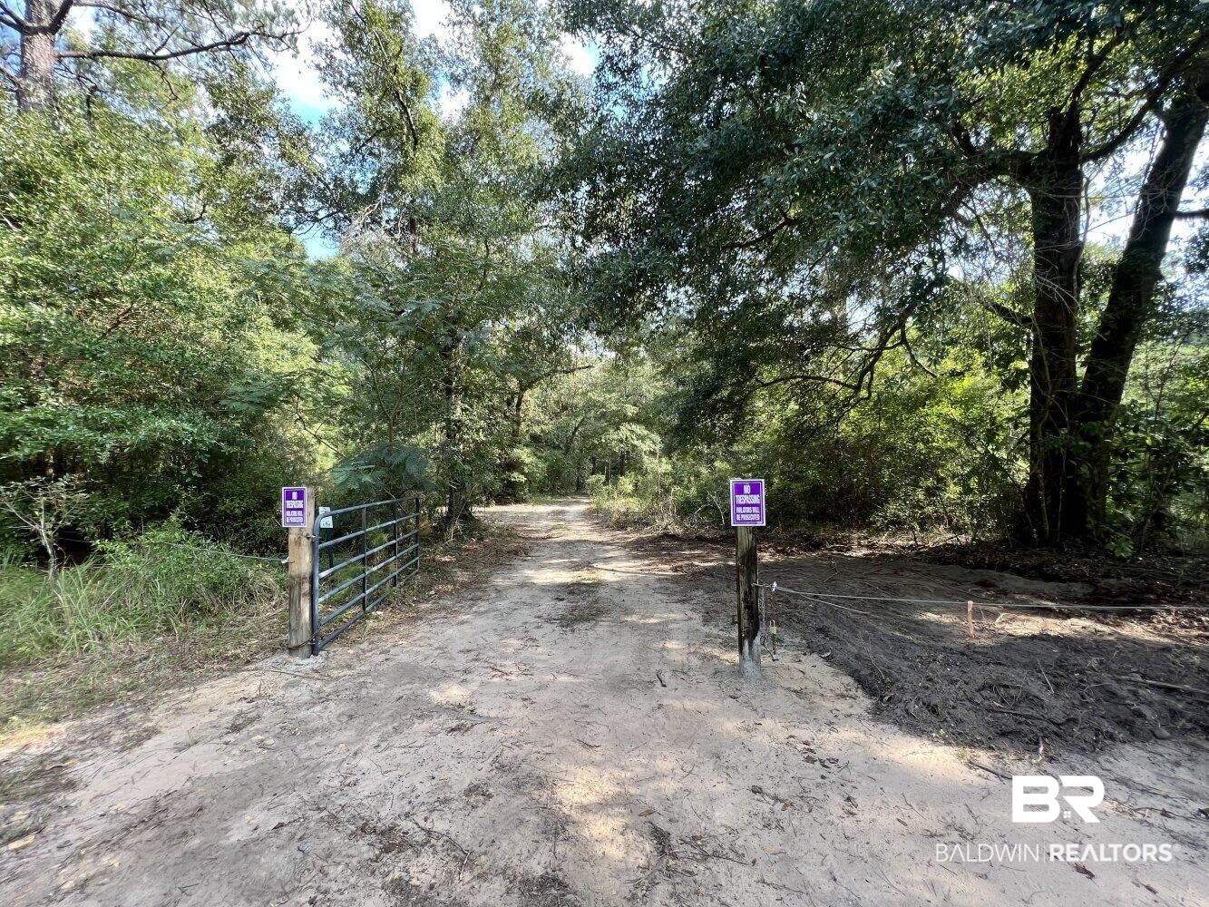 0 Bear Fork Road Mobile, AL 36618 - Photo 6 of 50