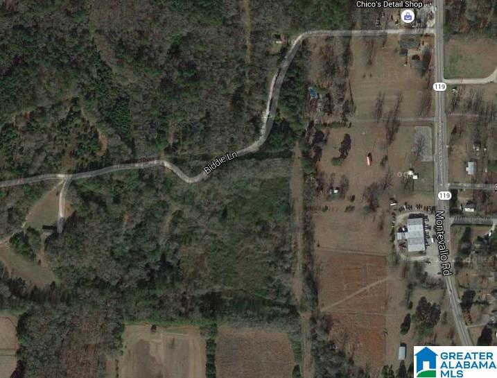 331 Biddie Lane Alabaster, AL 35007 - Photo 1 of 1