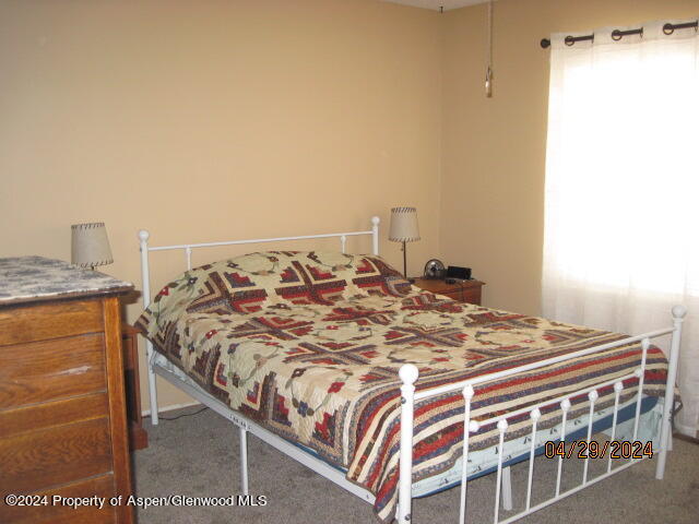3426 Riford Court Craig, CO 81625 - Photo 24 of 40 IMG_3523 - Copy - Copy