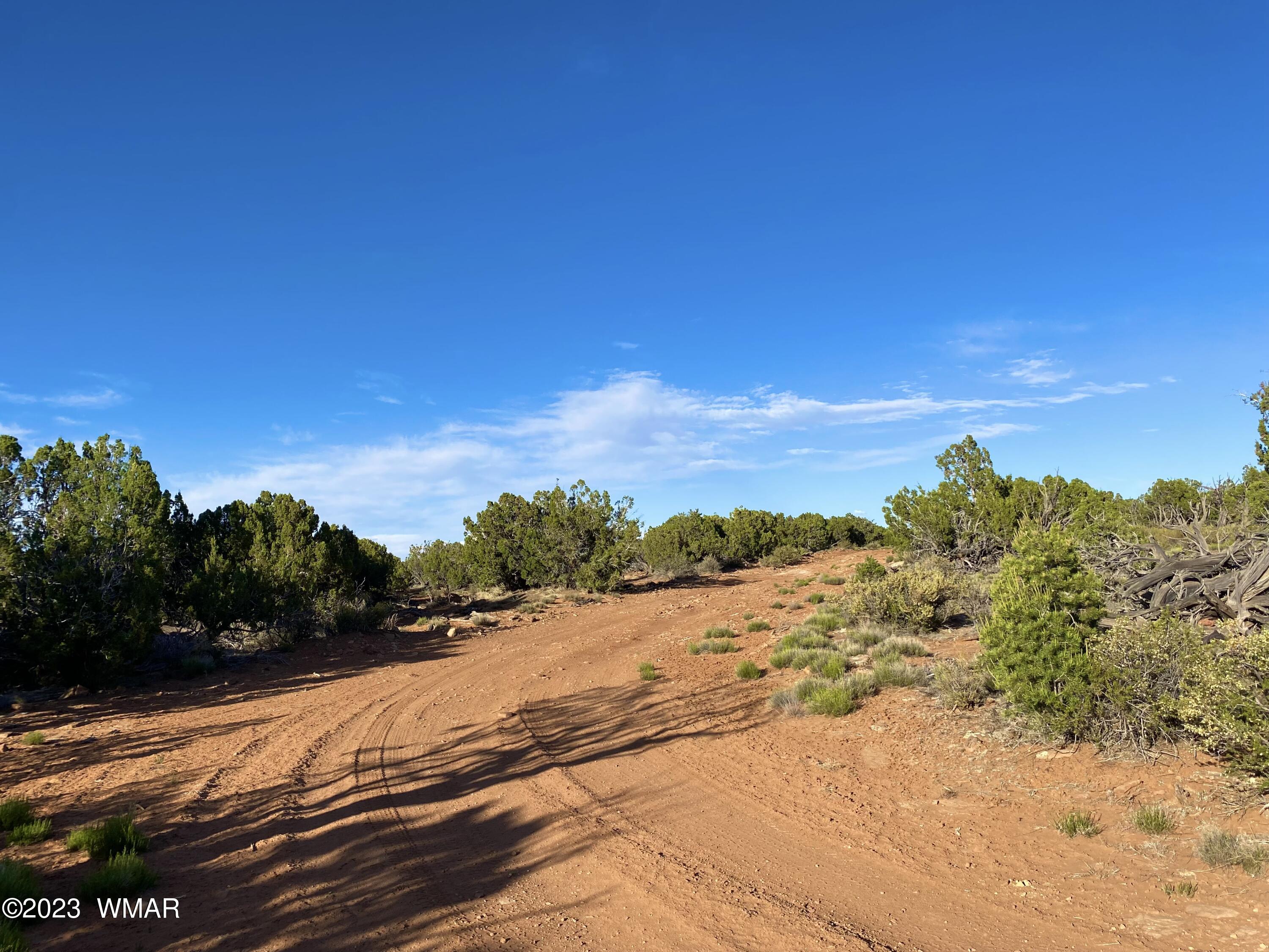 9338 Bluebell Lane Snowflake, AZ 85937 - Photo 18 of 23