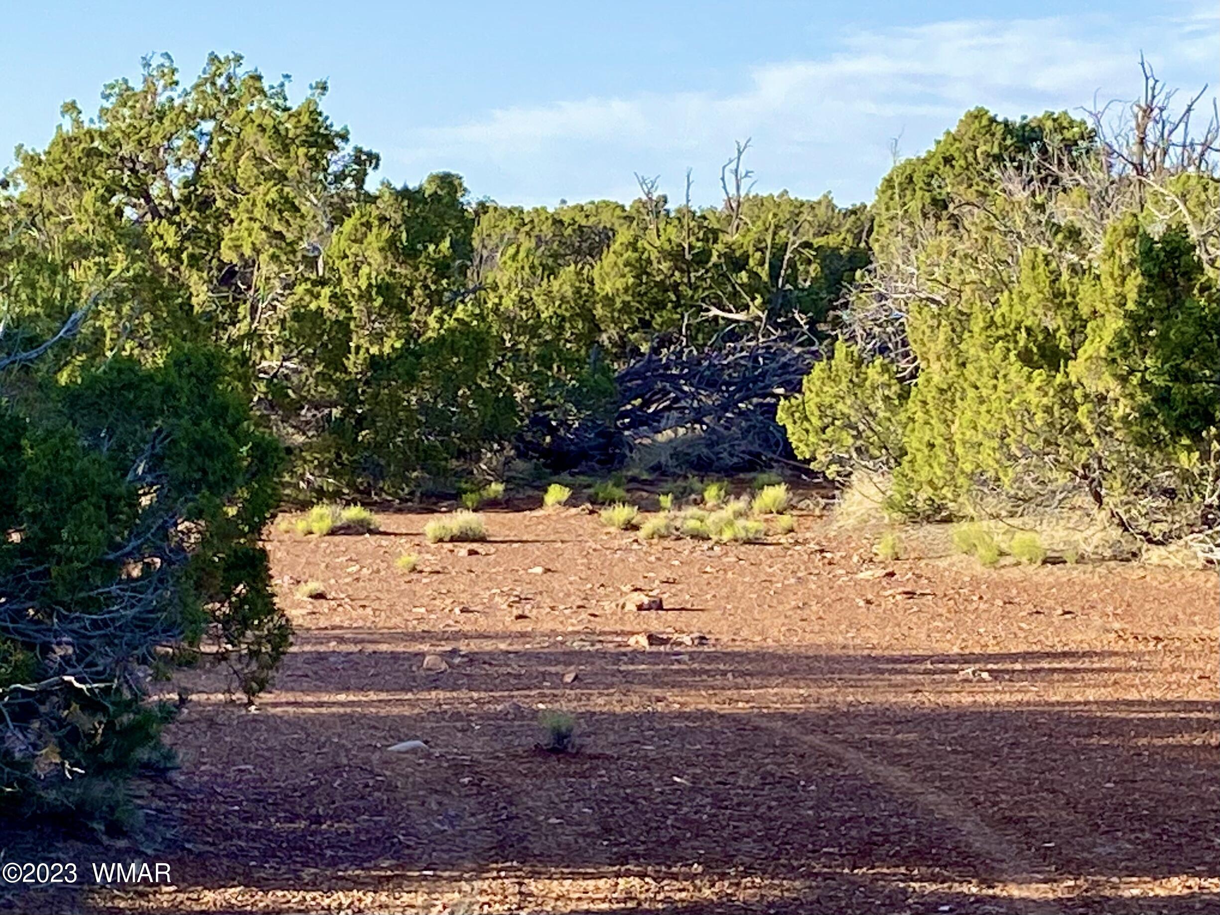 9338 Bluebell Lane Snowflake, AZ 85937 - Photo 22 of 23