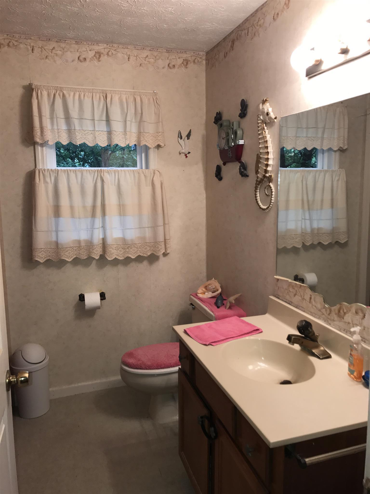 3710 Baggett Road Springfield, TN 37172 - Photo 13 of 16 a bathroom with a sink vanity and toilet
