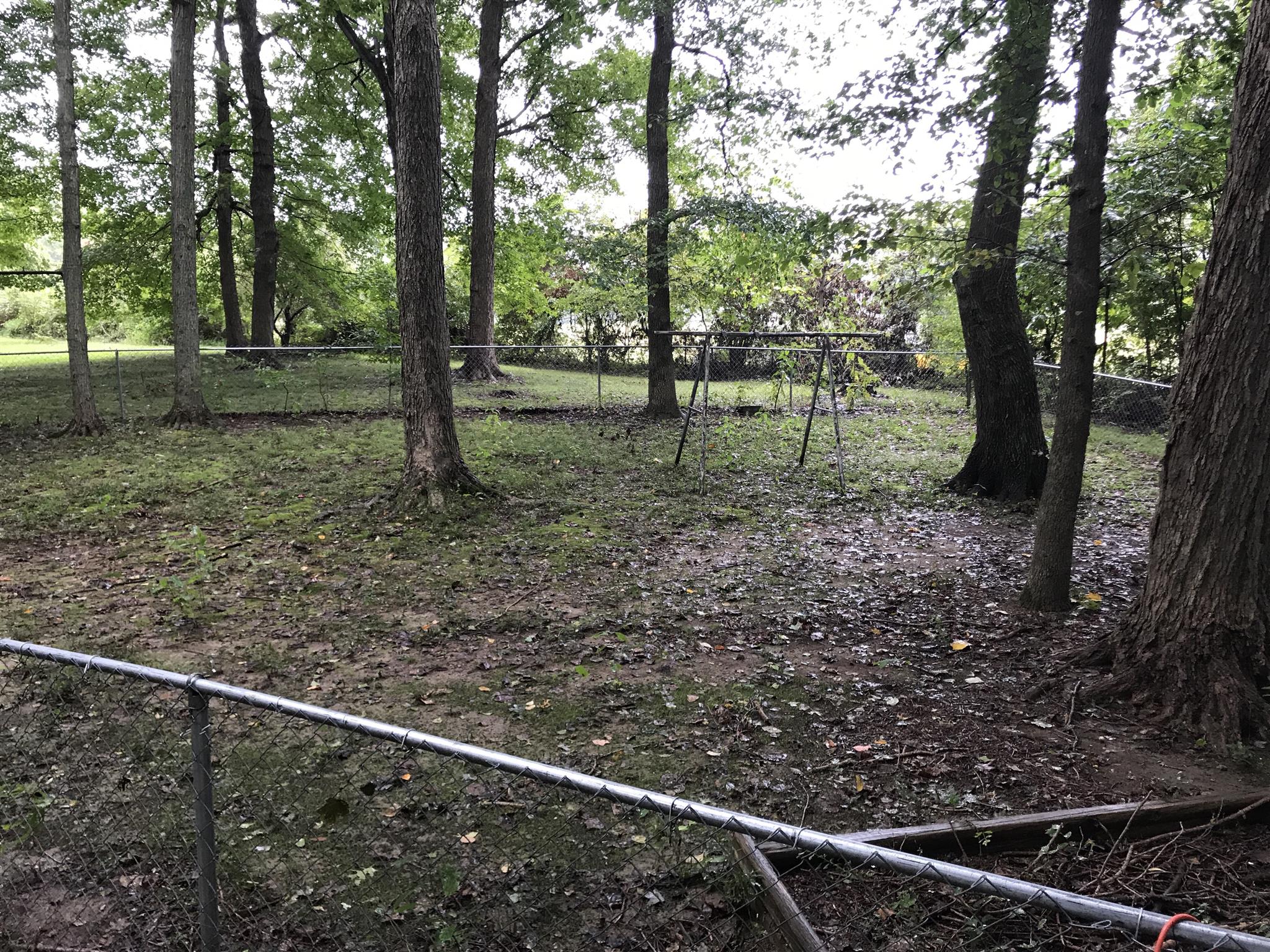 3710 Baggett Road Springfield, TN 37172 - Photo 15 of 16 a view of outdoor space with trees