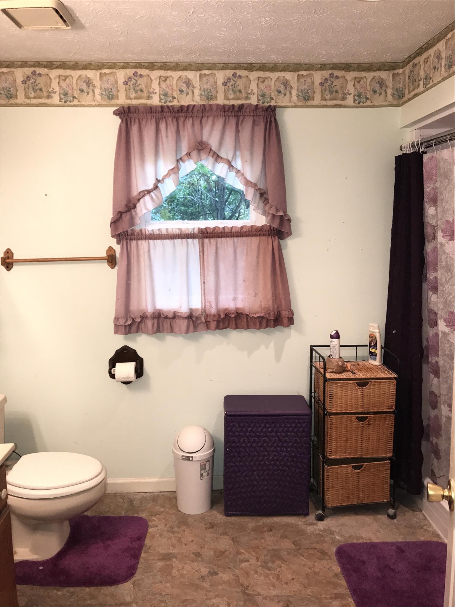 3710 Baggett Road Springfield, TN 37172 - Photo 6 of 16 a bathroom with a toilet sink and mirror
