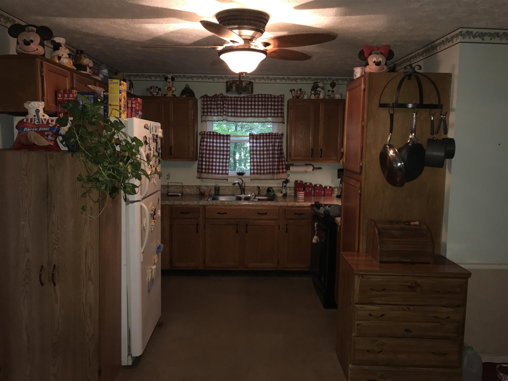 3710 Baggett Road Springfield, TN 37172 - Photo 9 of 16 a kitchen with a sink and cabinets