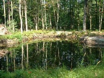 6786 West 9 Mile Road Irons, MI 49644 - Photo 1 of 3 Primary Photo
