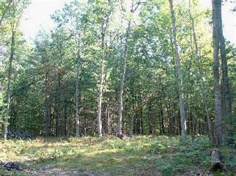 6786 West 9 Mile Road Irons, MI 49644 - Photo 3 of 3 Additional Photo