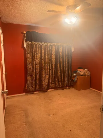 a view of a yard with large trees