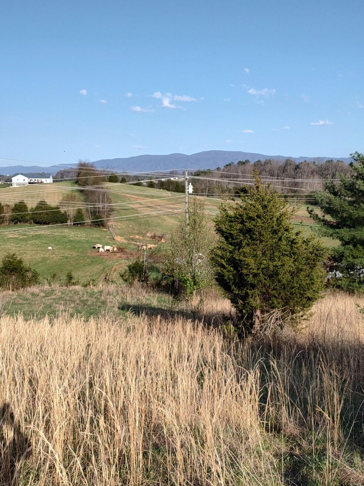 Tbd Hunting Hill Road Piney Flats, TN 37686 - Photo 4 of 10 04