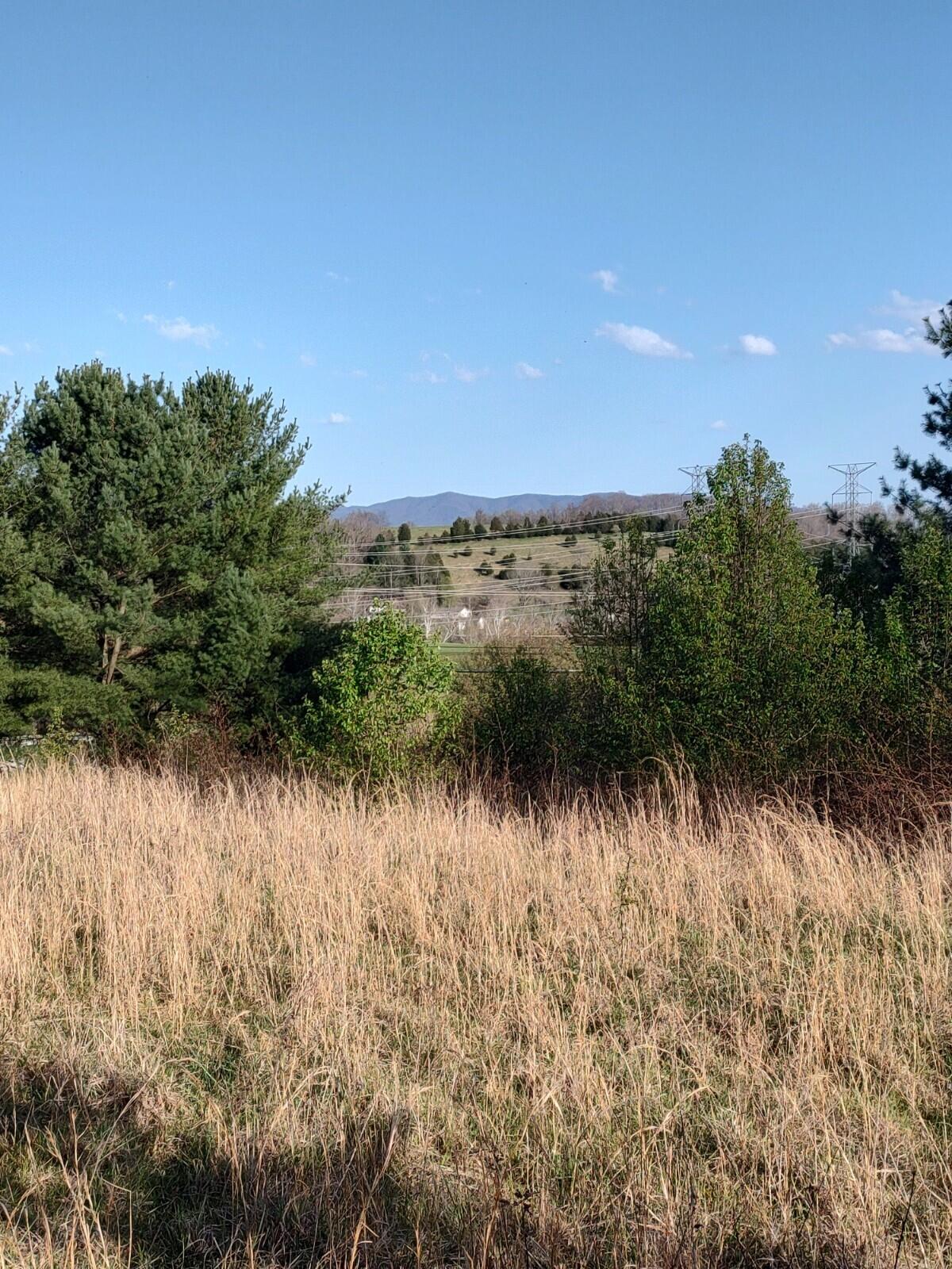 Tbd Hunting Hill Road Piney Flats, TN 37686 - Photo 6 of 10 06