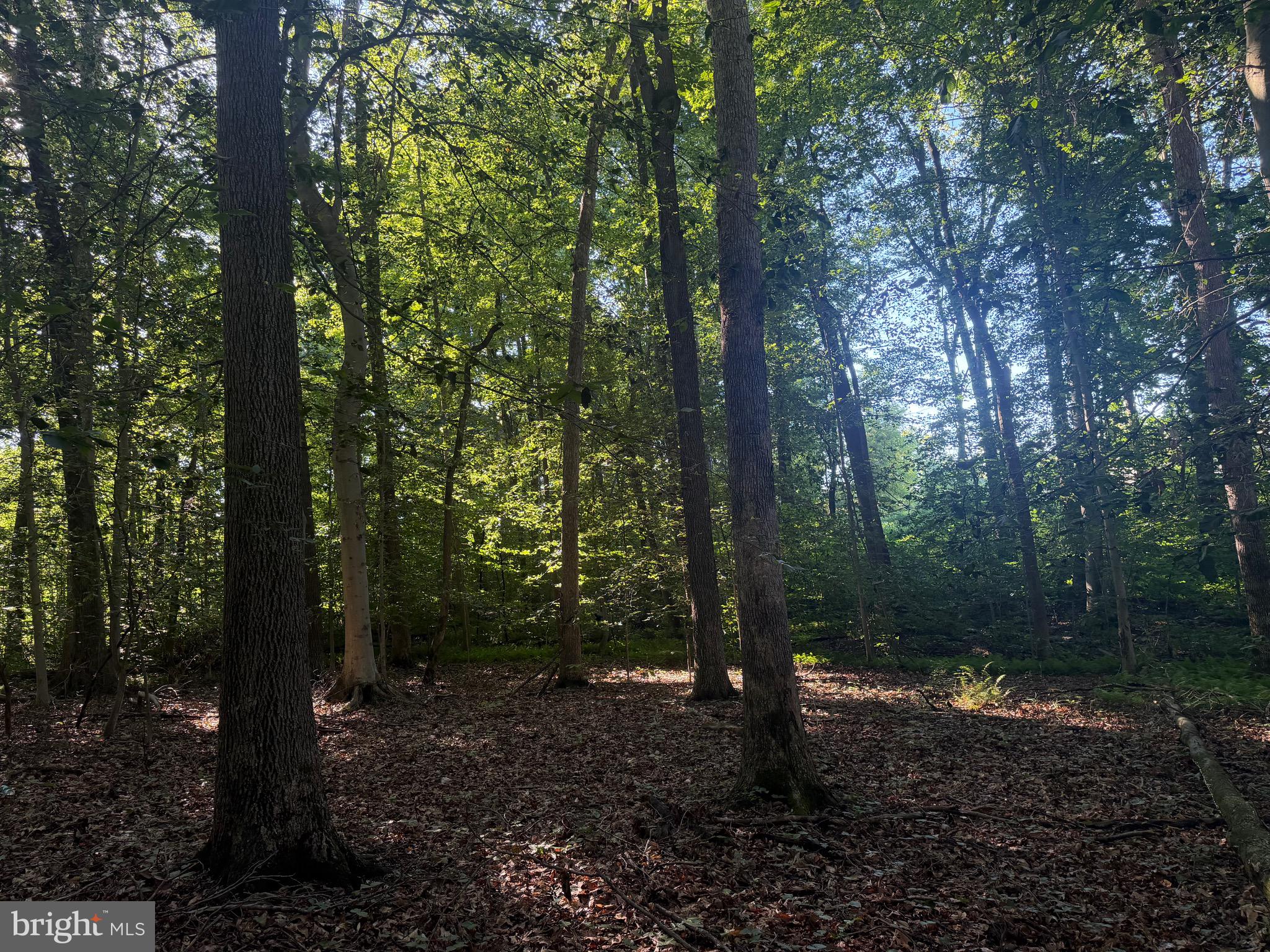 0 Rock Springs Road Conowingo, MD 21918 - Photo 42 of 79