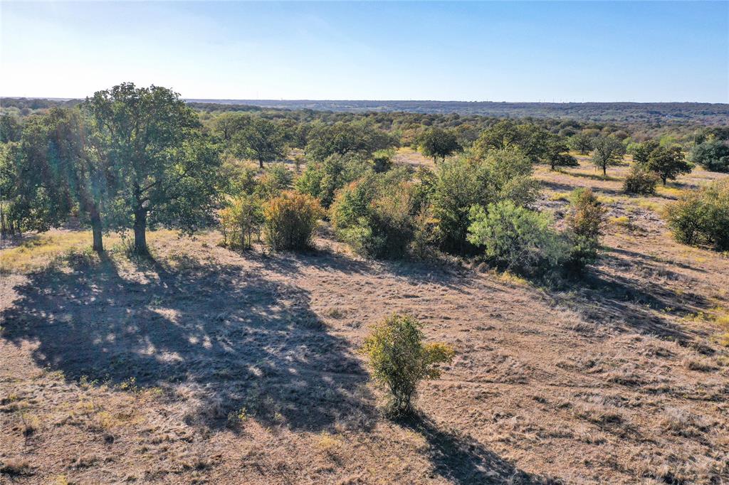 71.63-acres Slusher Road Jacksboro, TX 76458 - Photo 11 of 31 a view of a forest with mountains in the background