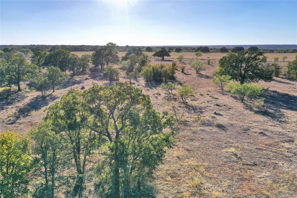 71.63-acres Slusher Road Jacksboro, TX 76458 - Photo 22 of 31 a view of a city with lush green forest