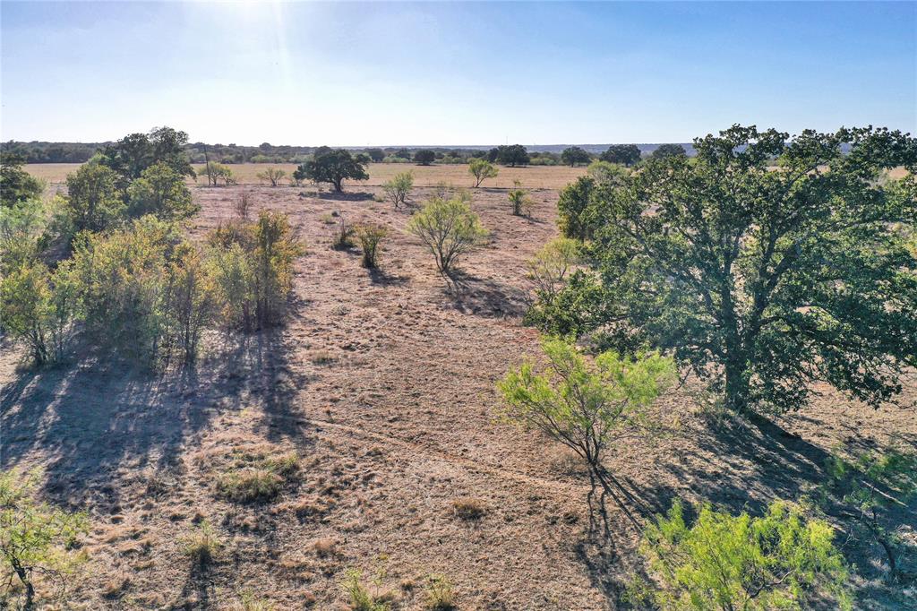 71.63-acres Slusher Road Jacksboro, TX 76458 - Photo 23 of 31 a view of a dry yard with lots of trees