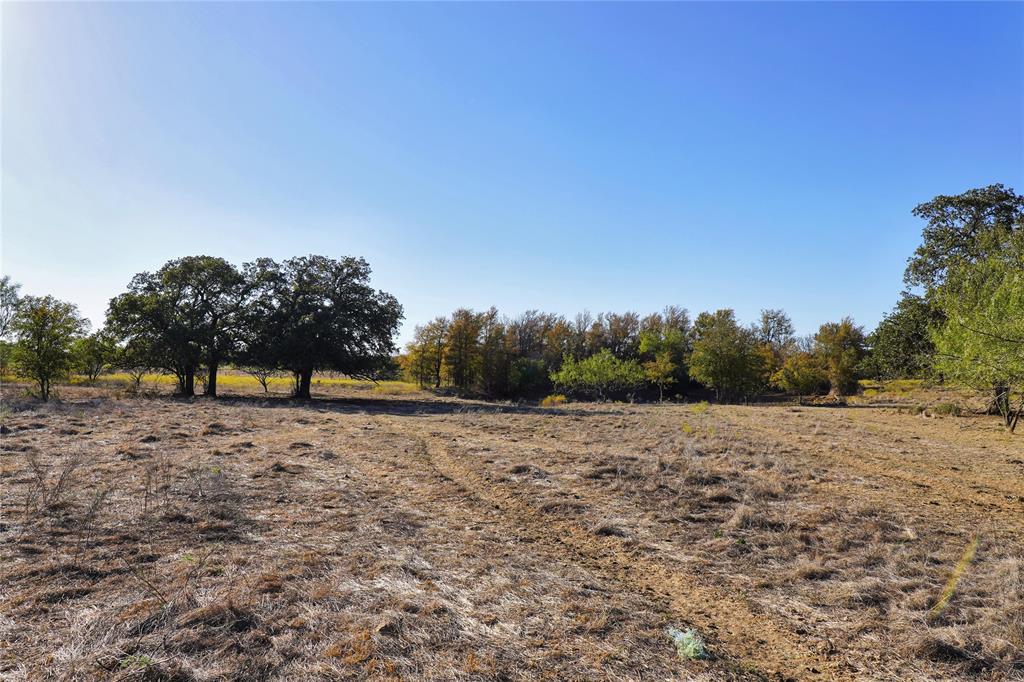 71.63-acres Slusher Road Jacksboro, TX 76458 - Photo 25 of 31 a view of dirt yard with trees