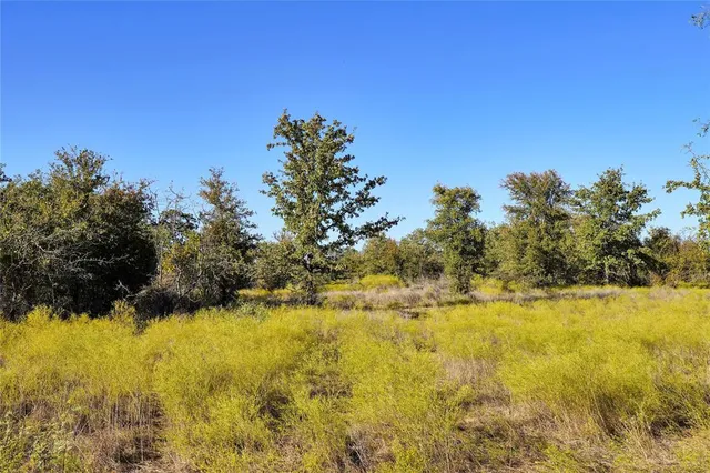 $565,000 | 71.63-acres Slusher Road, Jacksboro, TX 76458