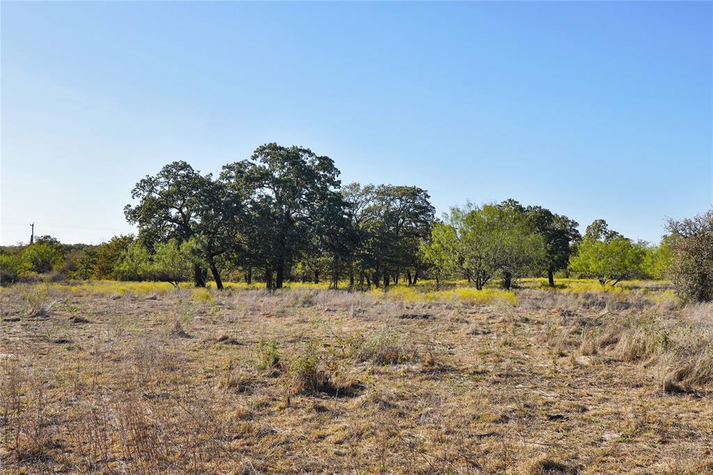 71.63-acres Slusher Road Jacksboro, TX 76458 - Photo 29 of 31 a view of dirt field with trees in the background