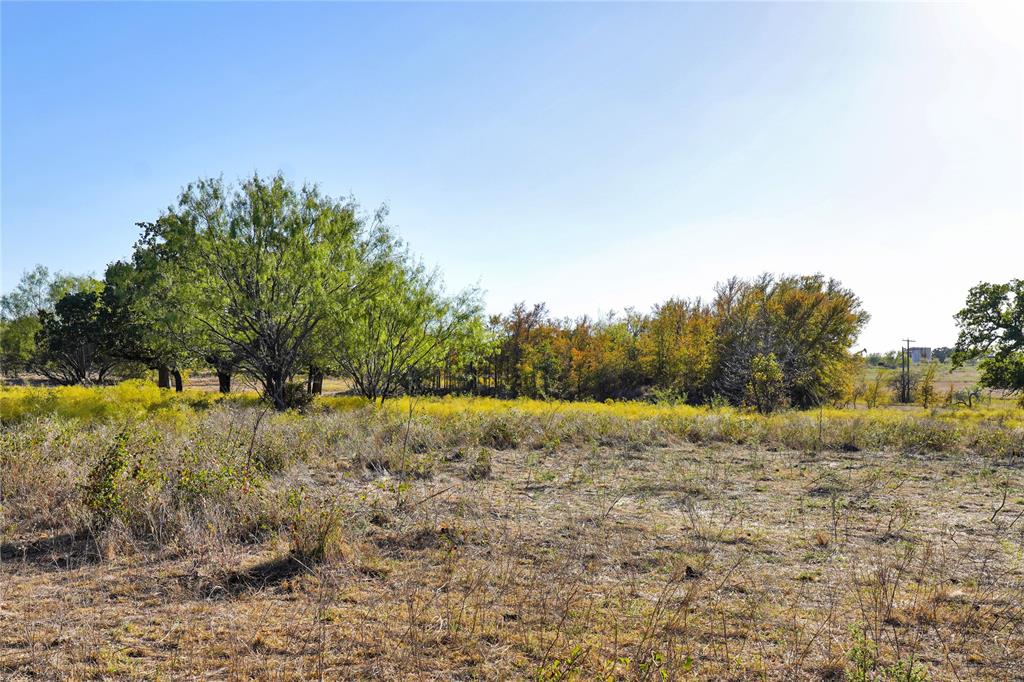 71.63-acres Slusher Road Jacksboro, TX 76458 - Photo 30 of 31 a view of a lake with trees in the background