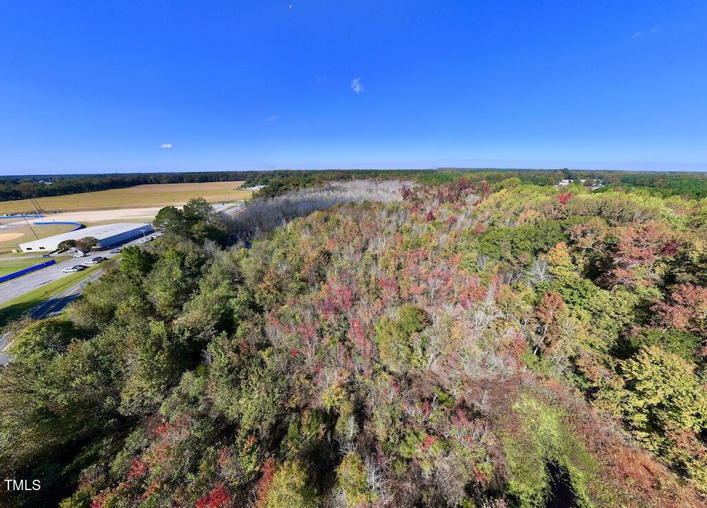 0 Buck Swamp Road Pikeville, NC 27863 - Photo 11 of 38 11