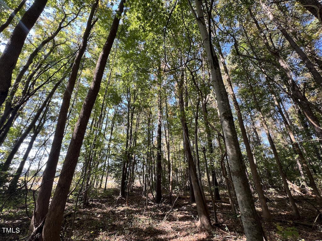 0 Buck Swamp Road Pikeville, NC 27863 - Photo 29 of 38 30