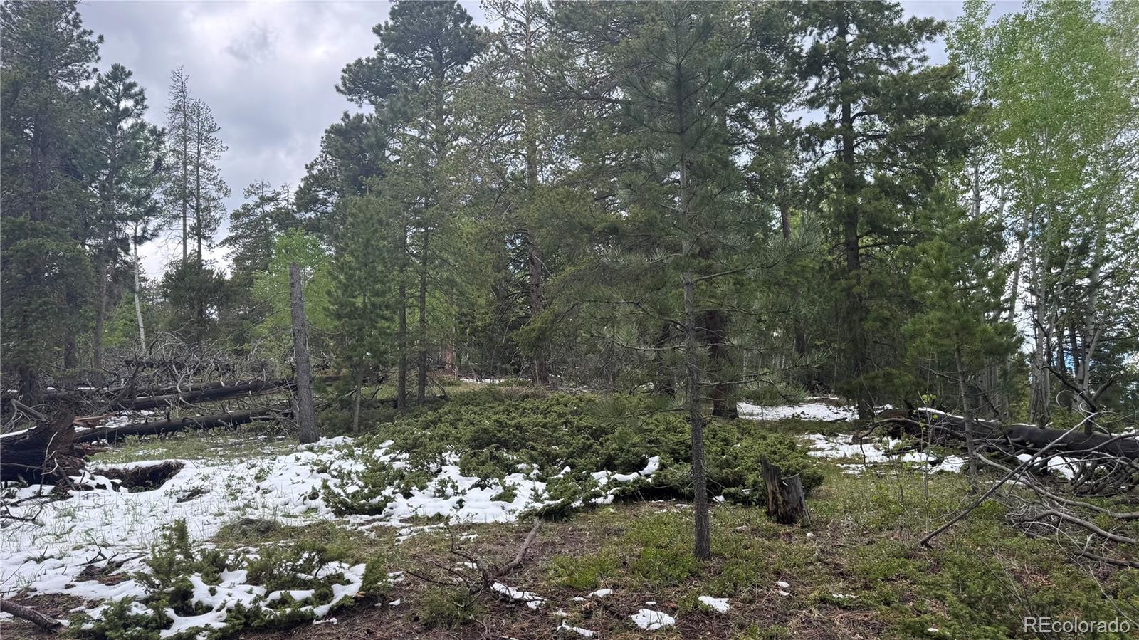 717 Crescent Lake Road Golden, CO 80403 - Photo 19 of 27