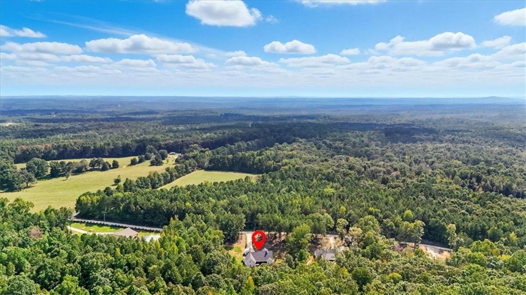 62 Joe Rowell Road Buchanan, GA 30113 - Photo 59 of 63