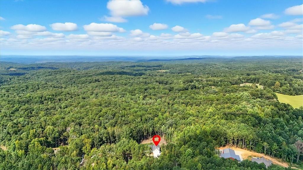 62 Joe Rowell Road Buchanan, GA 30113 - Photo 60 of 63