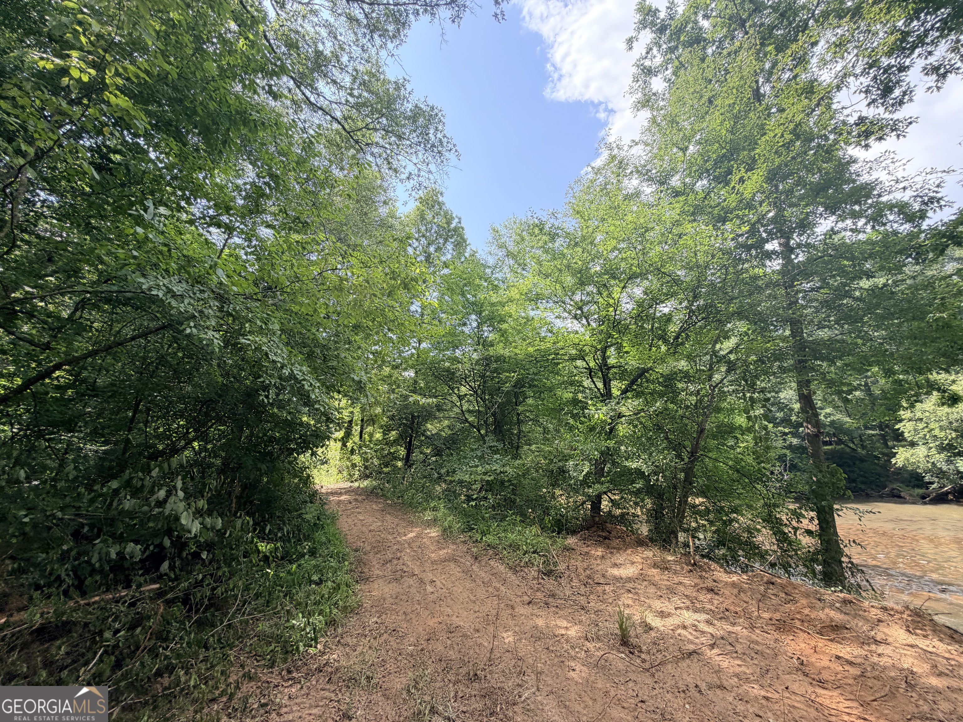 1590 James Adams Road Danielsville, GA 30633 - Photo 52 of 98