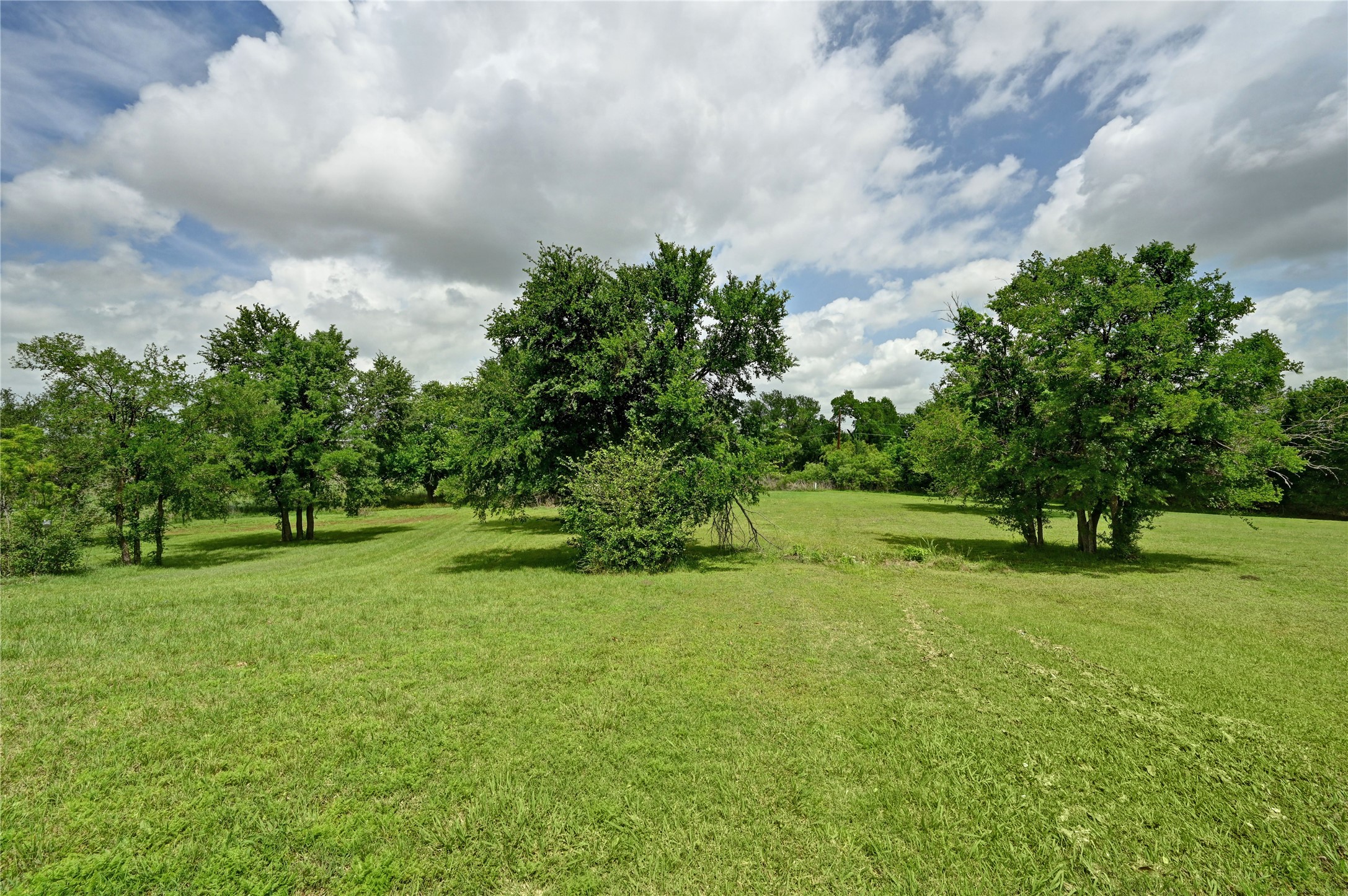 1700 Tanner Loop Taylor, TX 76574 - Photo 26 of 32 Expansive green space featuring scattered mature trees and open grassy areas