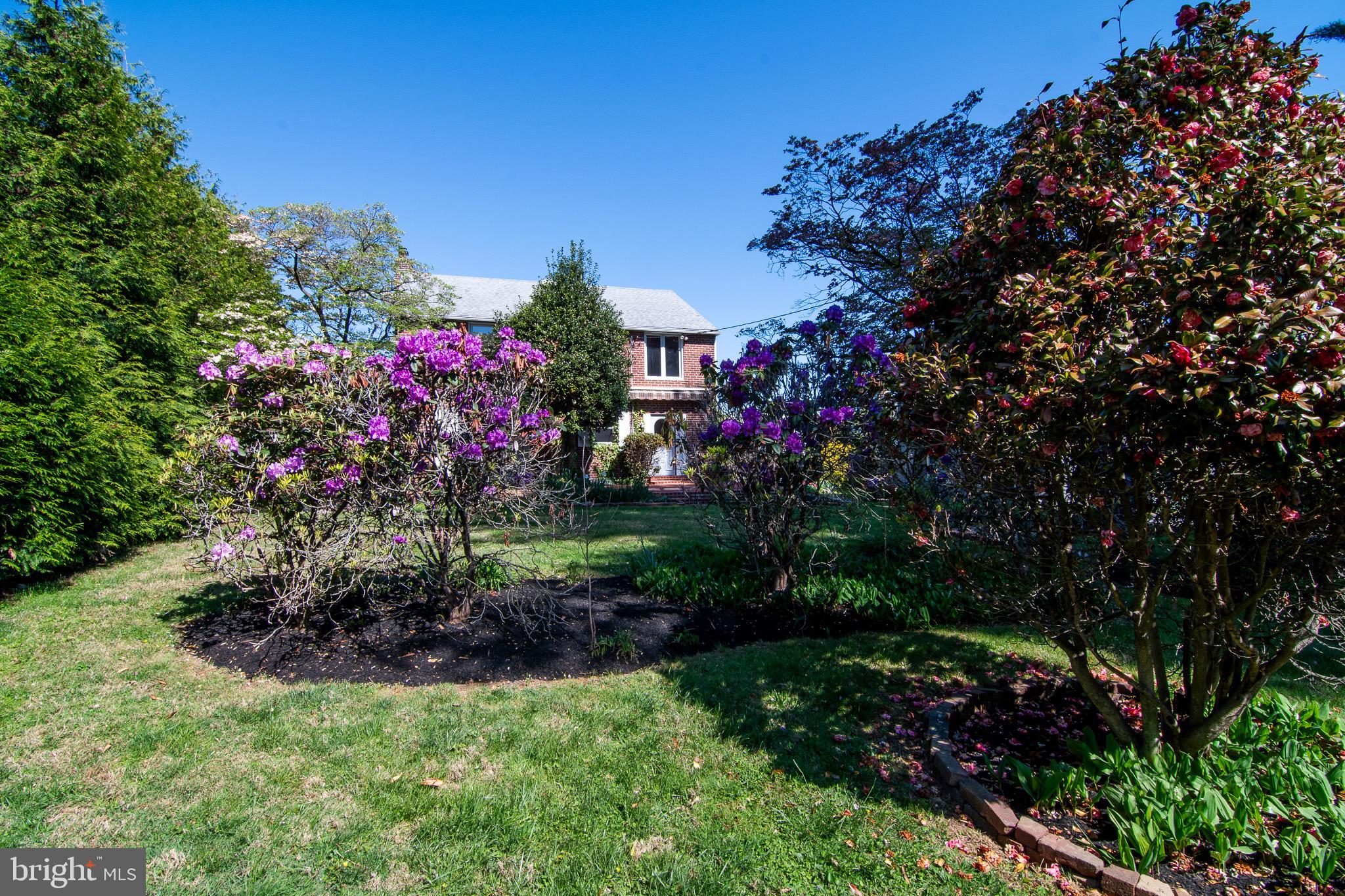 5004 Fairway Road Drexel Hill, PA 19026 - Photo 22 of 29 a view of a flower in a garden