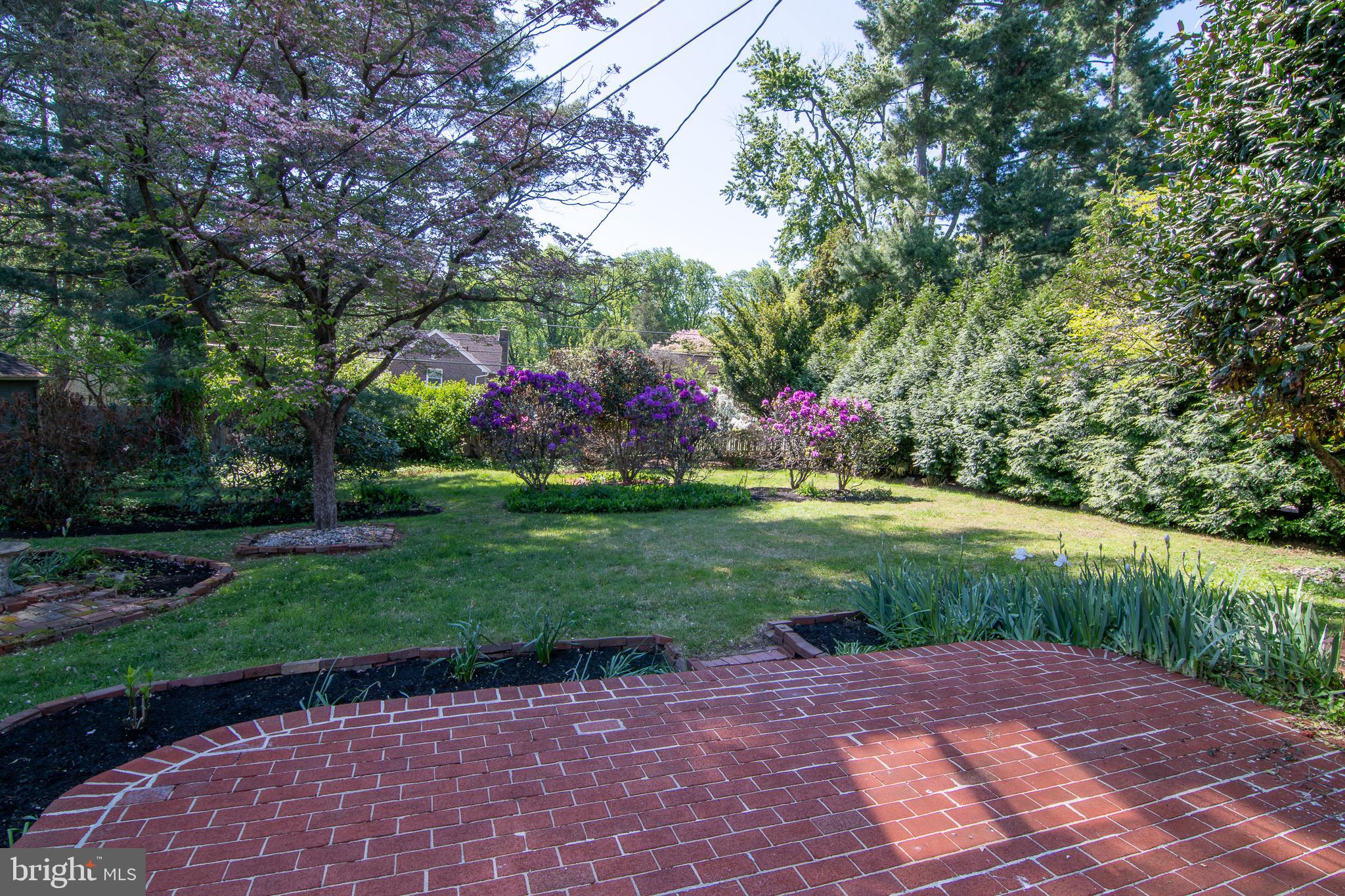 5004 Fairway Road Drexel Hill, PA 19026 - Photo 26 of 29 a view of a park with large trees