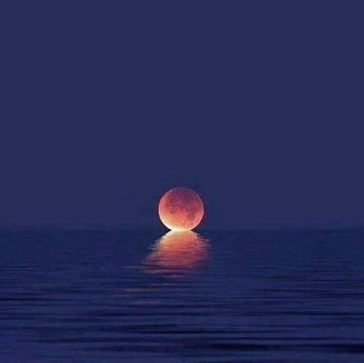 58 Sagamore Road Bourne, MA 02562 - Photo 27 of 29