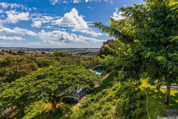 a view of a tree with a yard