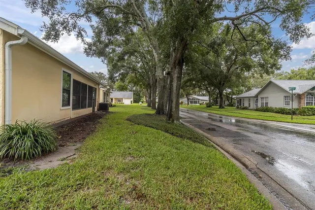 a view of a house with a big yard and large tree