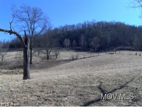 1856 Hebron Road St. Marys, WV 26170 - Photo 5 of 8 pasture