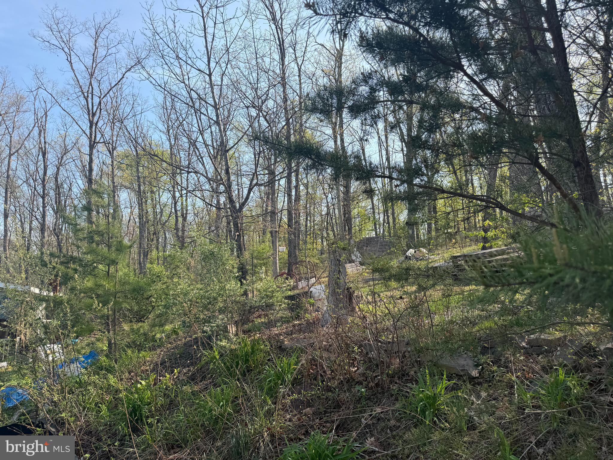 68 Mountain Road Augusta, WV 26704 - Photo 20 of 23