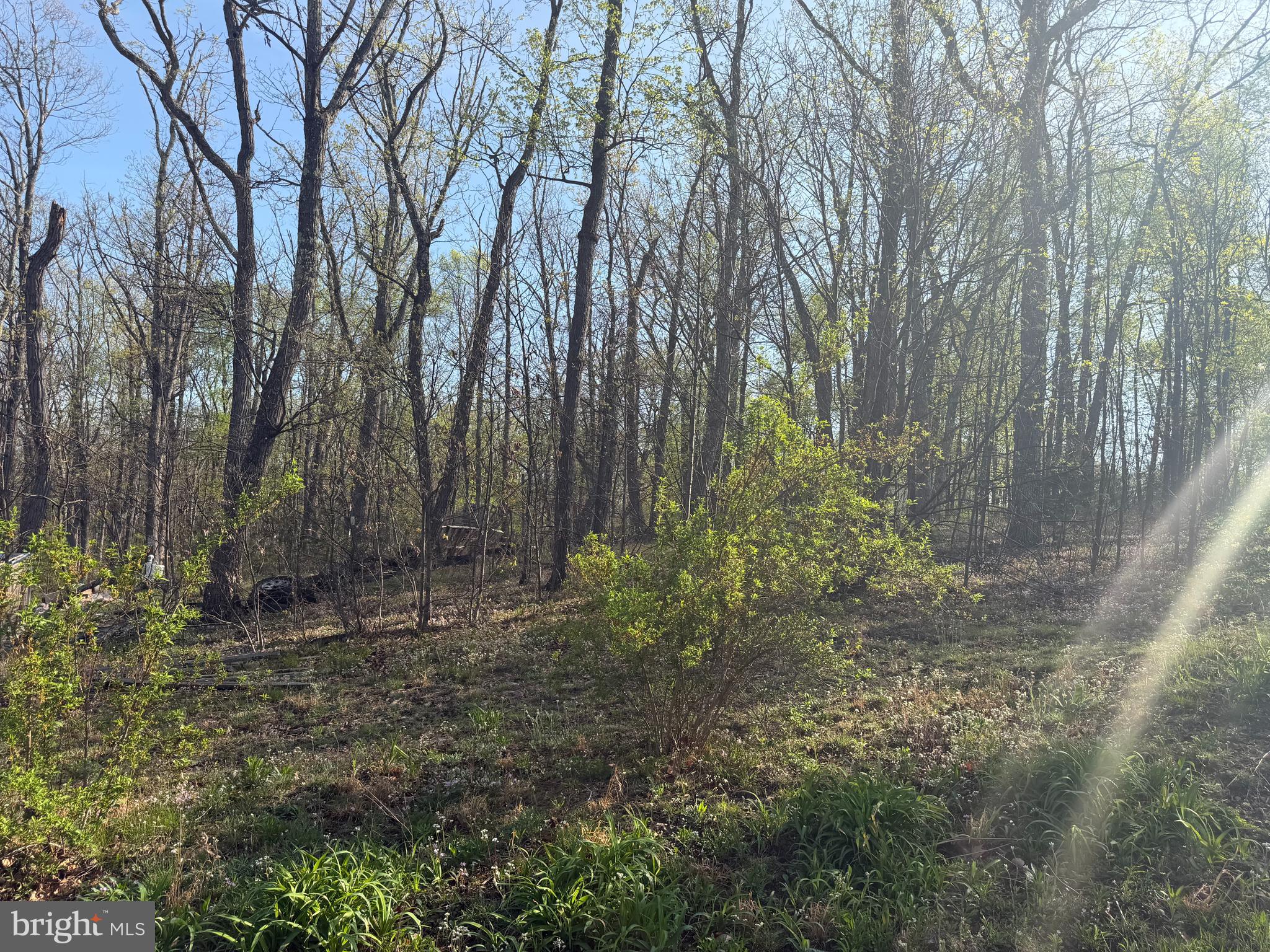 68 Mountain Road Augusta, WV 26704 - Photo 22 of 23